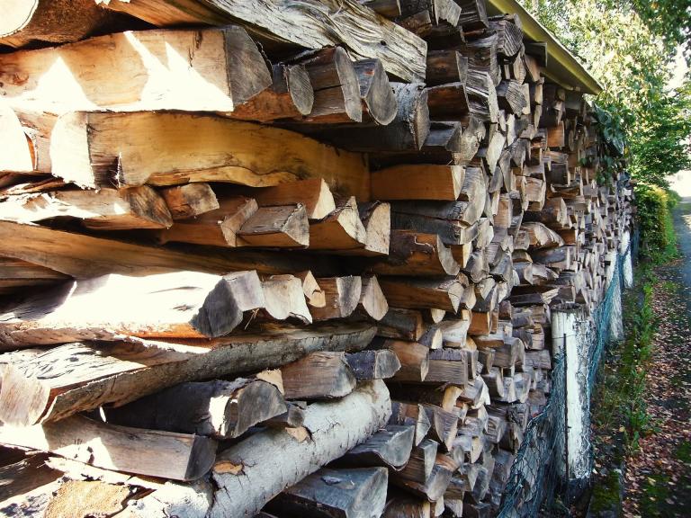 Zu sehen ist eine Holzstapel Brennholz im Wald